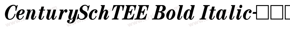 CenturySchTEE Bold Italic字体转换